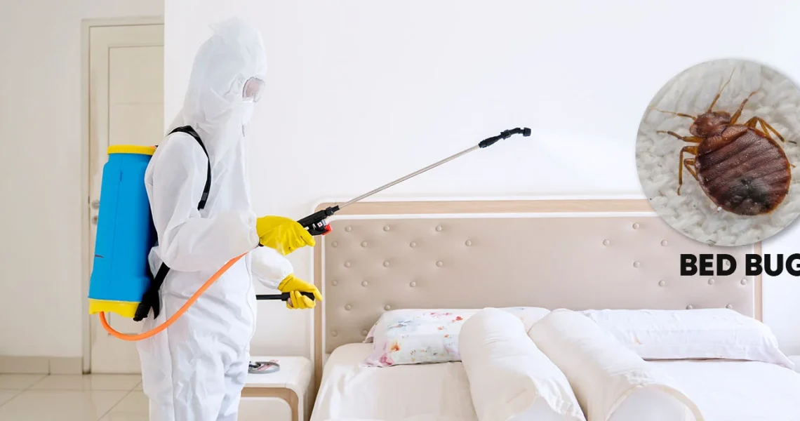Bed Bug Service
